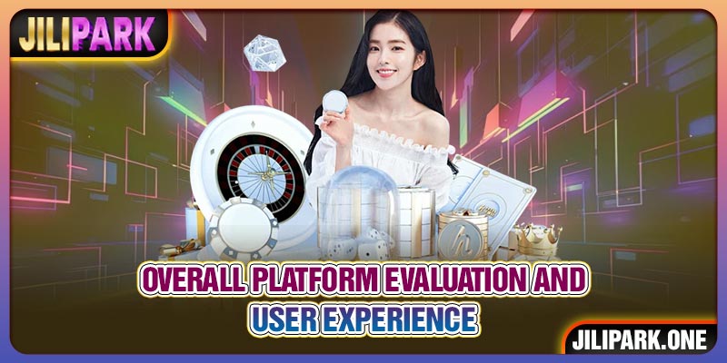 Overall platform evaluation and user experience